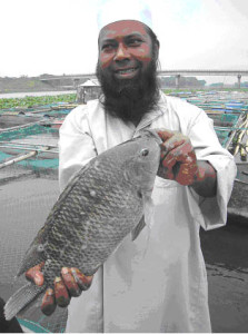 Description: cage culture- baquintilapia